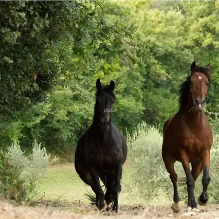 Alloggio per agriturismo La Fonte Perugia