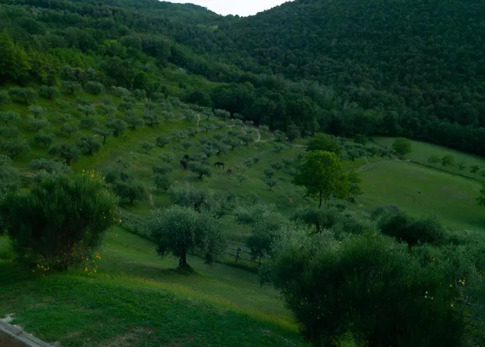 La Fonte Bauernhof Perugia