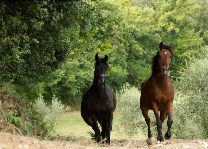 Bauernhof La Fonte Perugia